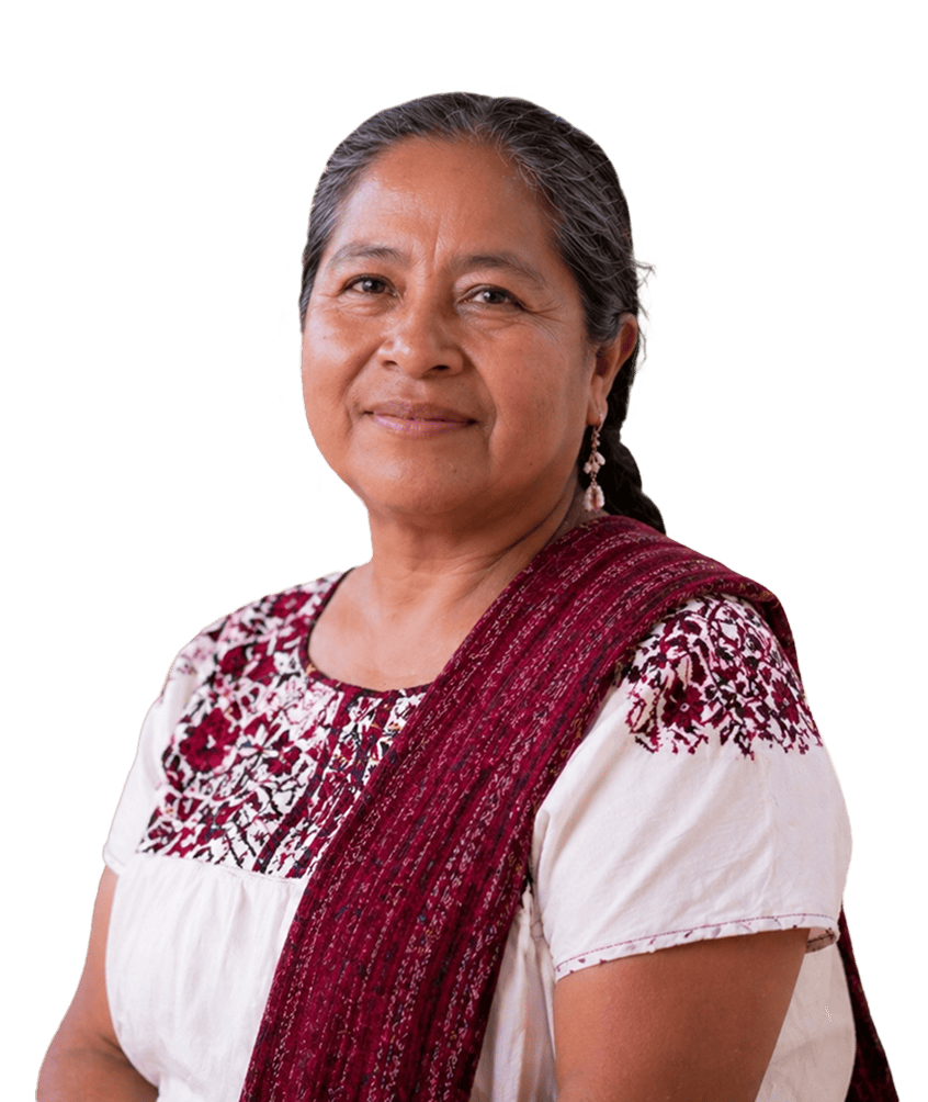 Pensión Mujeres Bienestar