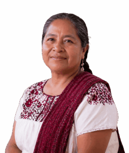 Pensión Mujeres Bienestar