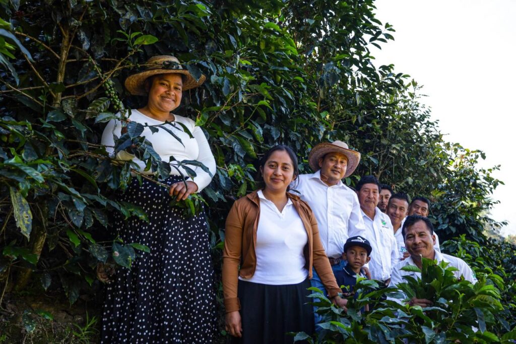 Con más de mil 200 millones de árboles plantados, Sembrando Vida amplía sus metas para 2030